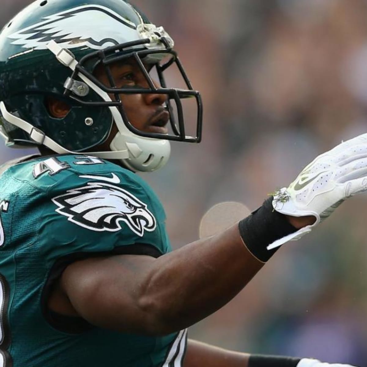 Darren Sproles Stats, News and Video - RB