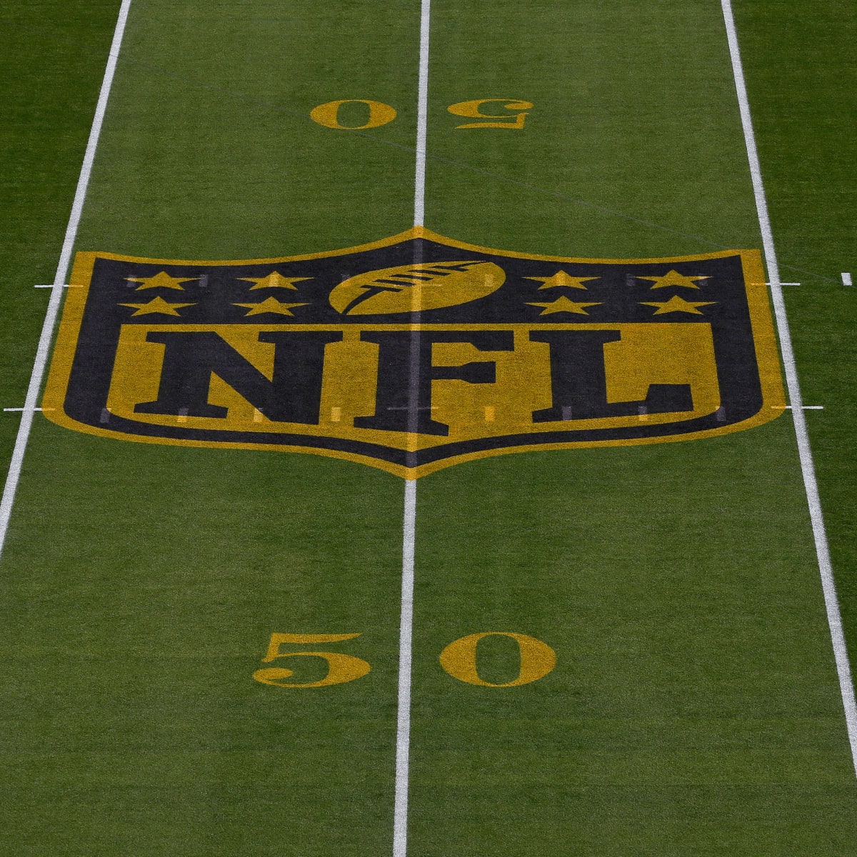 NFL continues suspension of TV blackout policy for 2016 - Sports