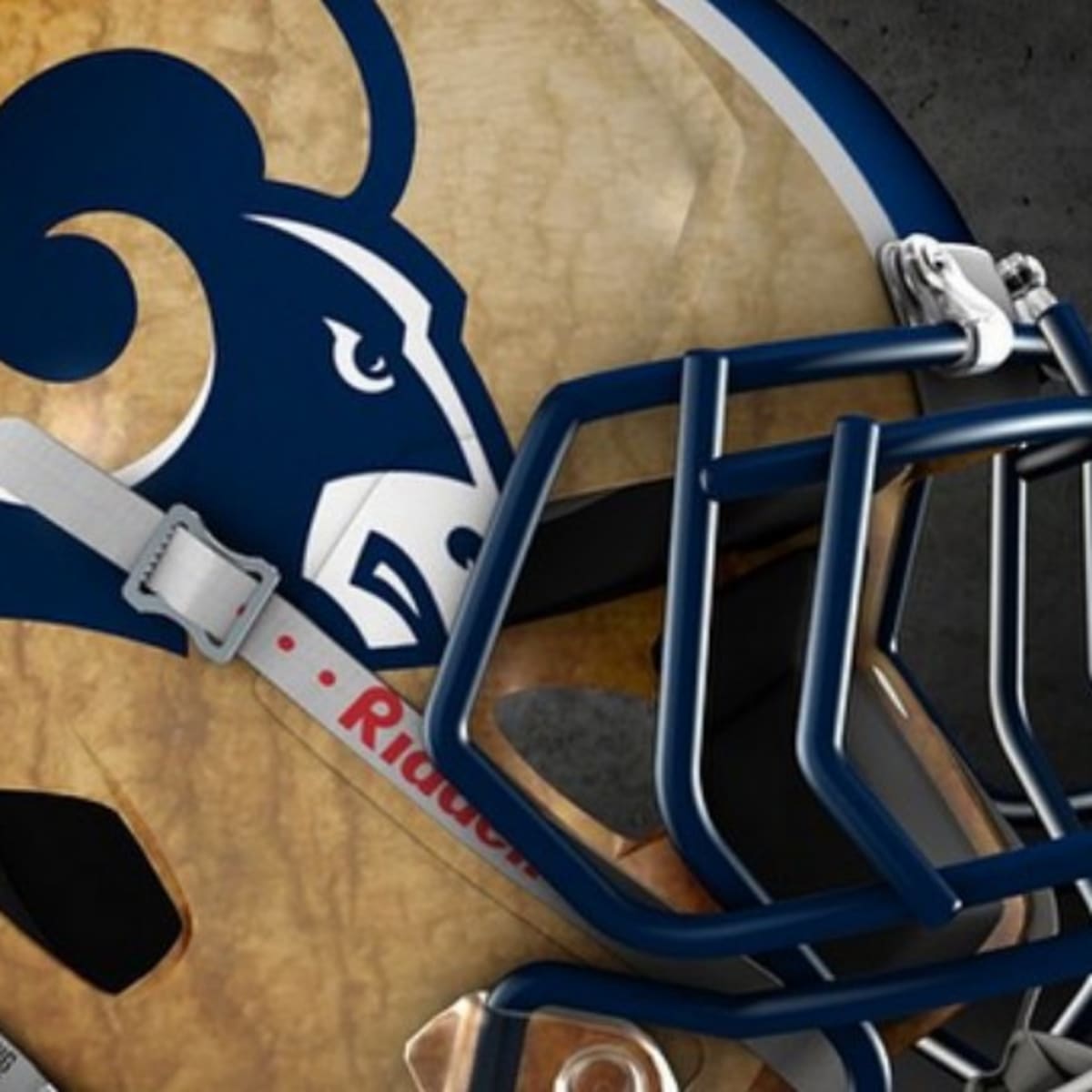 LOCAL 12, WKRC-TV - Here are some alternate NFL helmet concepts for some  teams in the league. View new looks for all 32:   (Design concept by Dylan Young / www.deeyung.com)