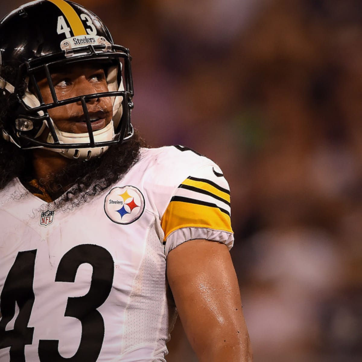 Troy Polamalu Stats, News and Video - S