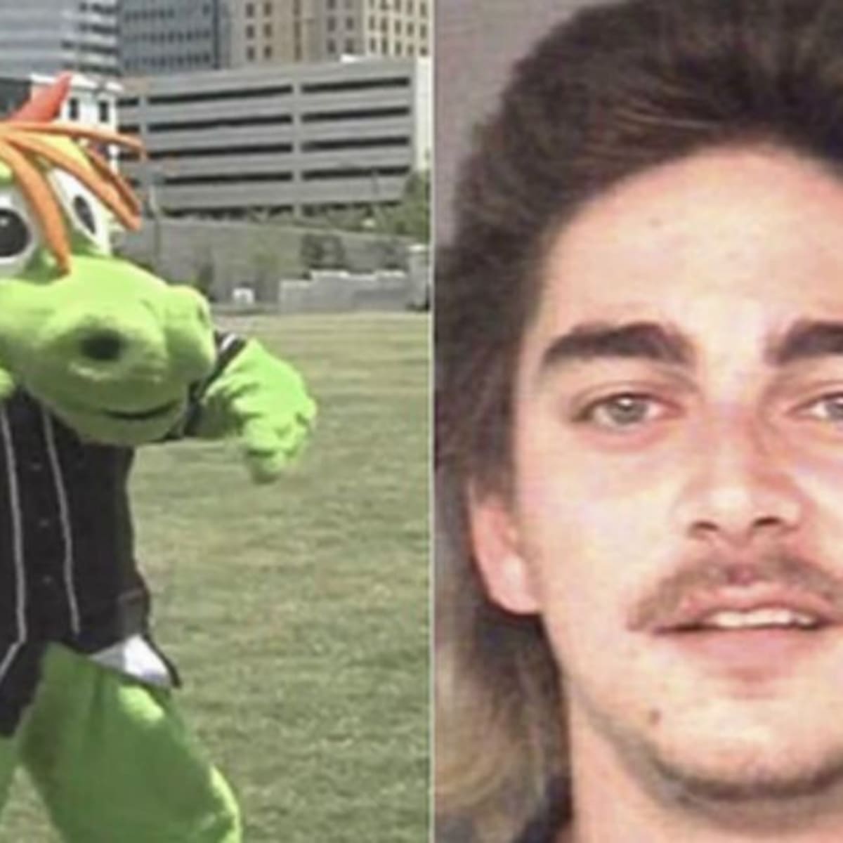 Man steals 'Homer the Dragon' costume from uptown ballpark, officials say