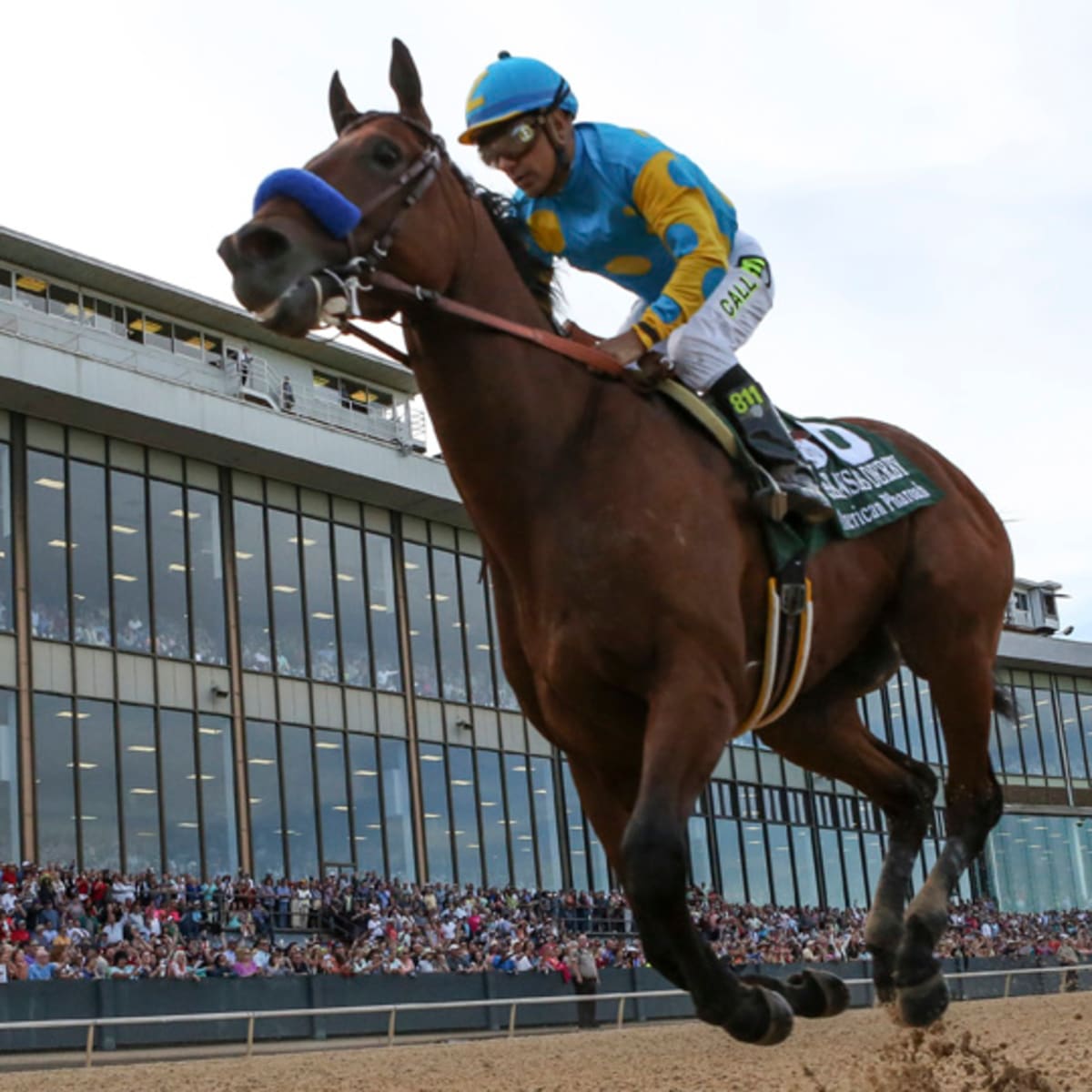 2015 kentucky derby horses odds winning