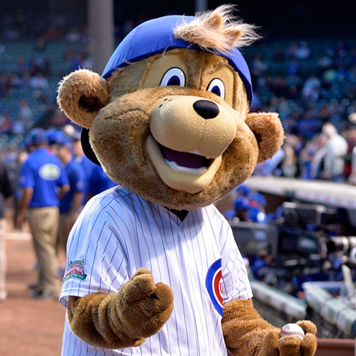 south bend cubs mascot