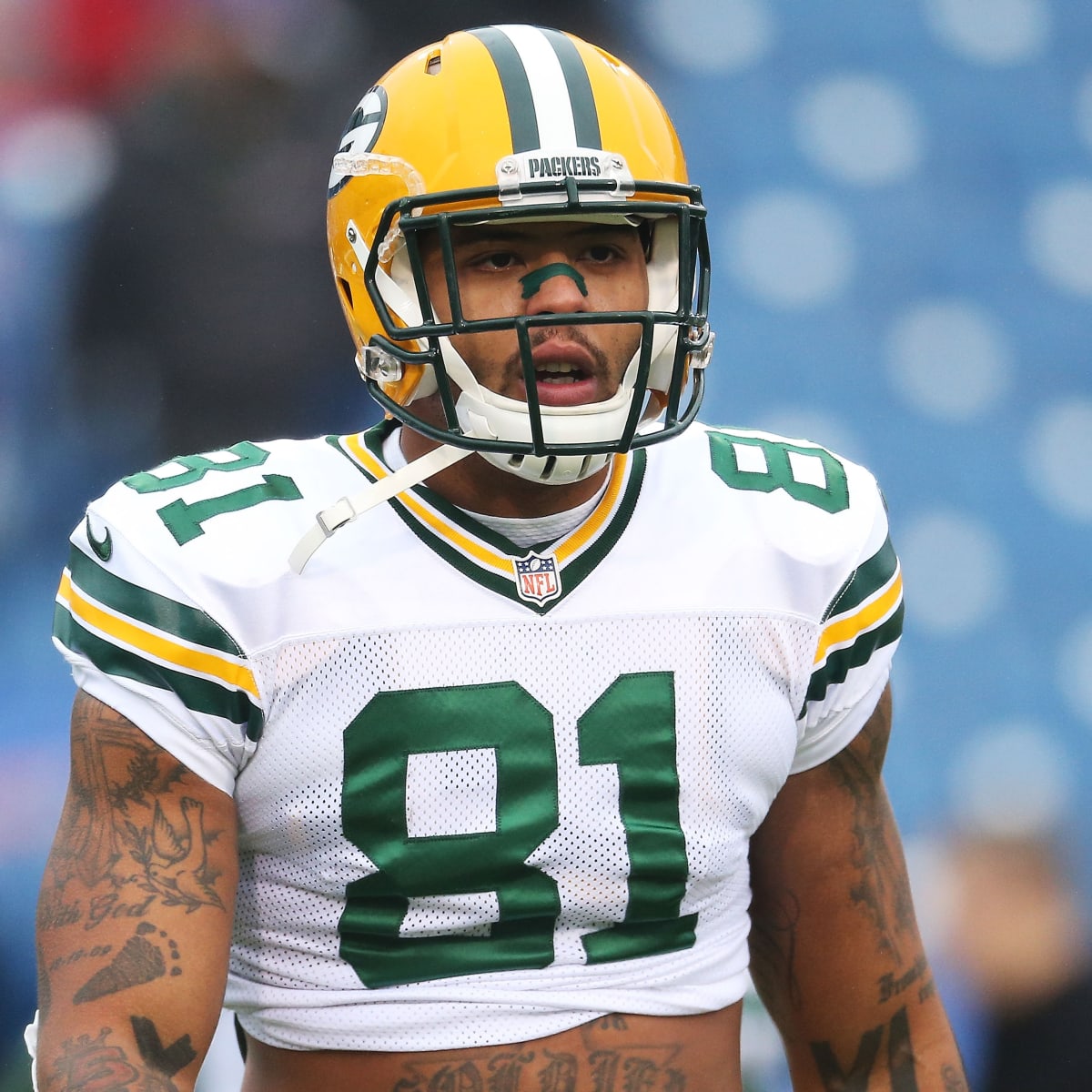 Green Bay Packers tight end Andrew Quarless (81) celebrates at the