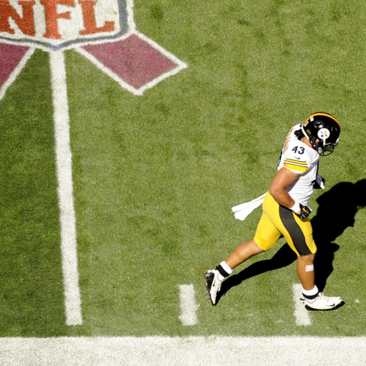 Troy Polamalu retires from NFL after 12 seasons at Pittsburgh Steelers, NFL