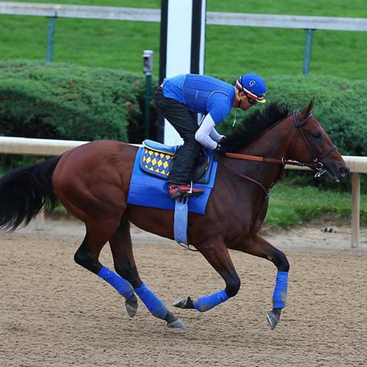 Belmont Winner Rags to Riches in League of Her Own