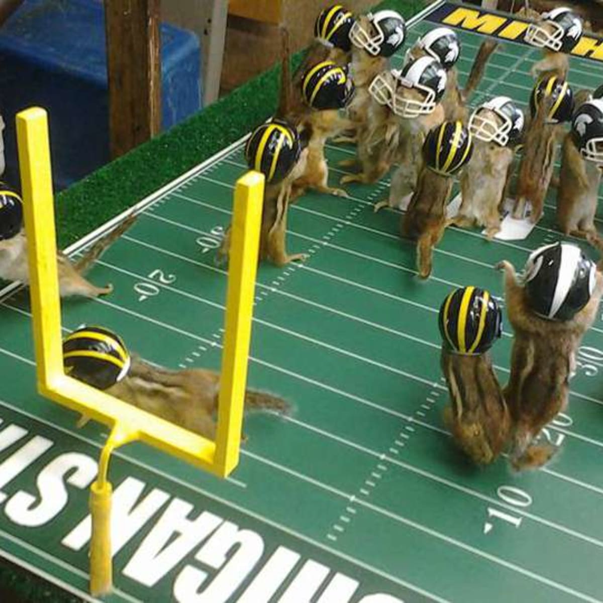 Mátame, camión! (El Tópic de la Taxidermia Chunga) - Página 19 Michigan-state-football-taxidermyjpg