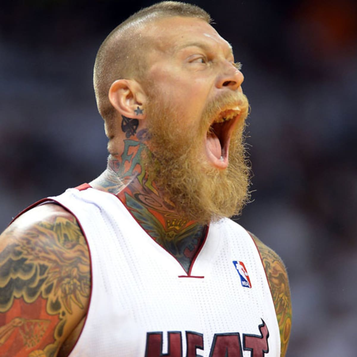 Miami Heat big man Chris Andersen wants to trademark the 'Birdman' name