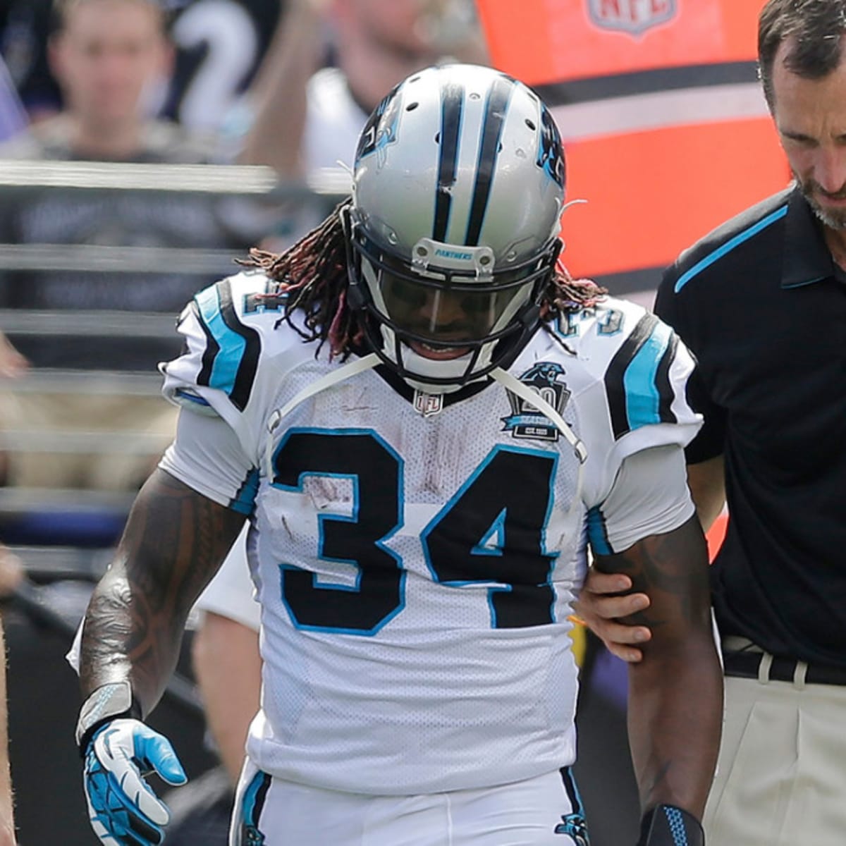 DeAngelo Williams Injury: Updates on Steelers RB's Ankle and