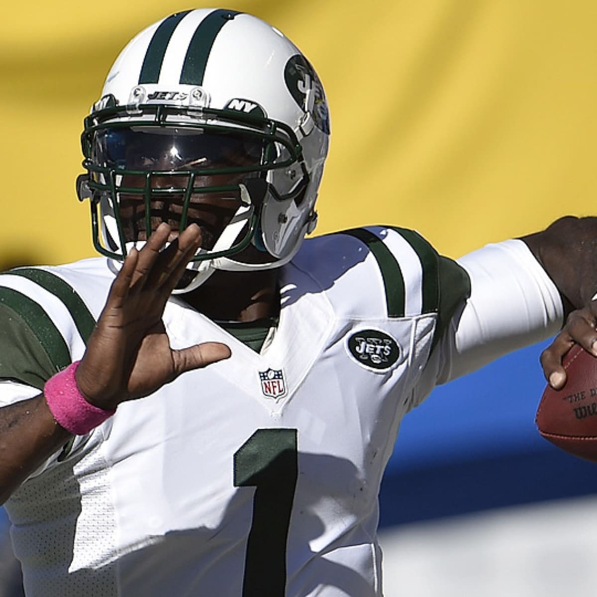 Michael Vick focused on Jets' QB position, not future