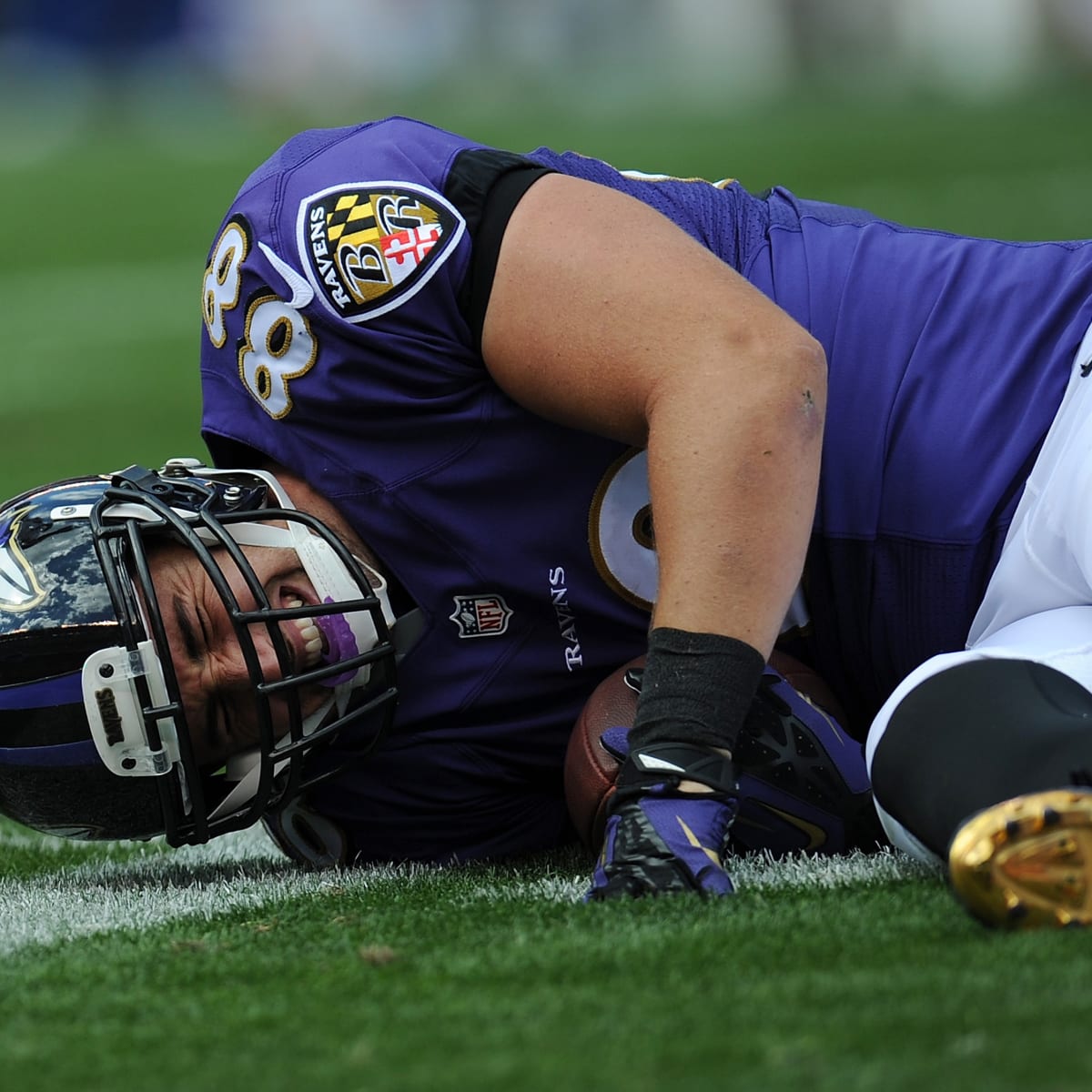 Dennis Pitta Statistics