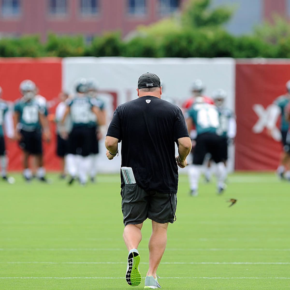 Brent Celek: Chip Kelly's system is 'insane'