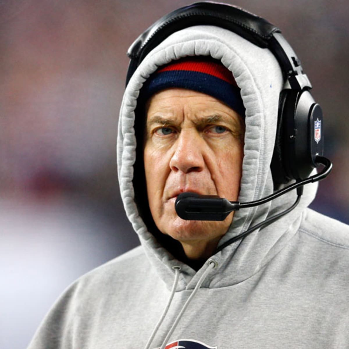 New England Patriots: Bill Belichick's dog wears hoodie (photo) - Sports  Illustrated