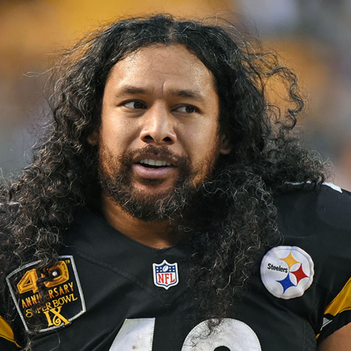 Troy Polamalu: Steelers hit man – Orange County Register