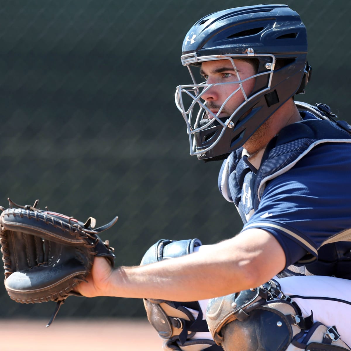 2014 MLB Prospect Review: Austin Hedges, San Diego Padres - Fake Teams