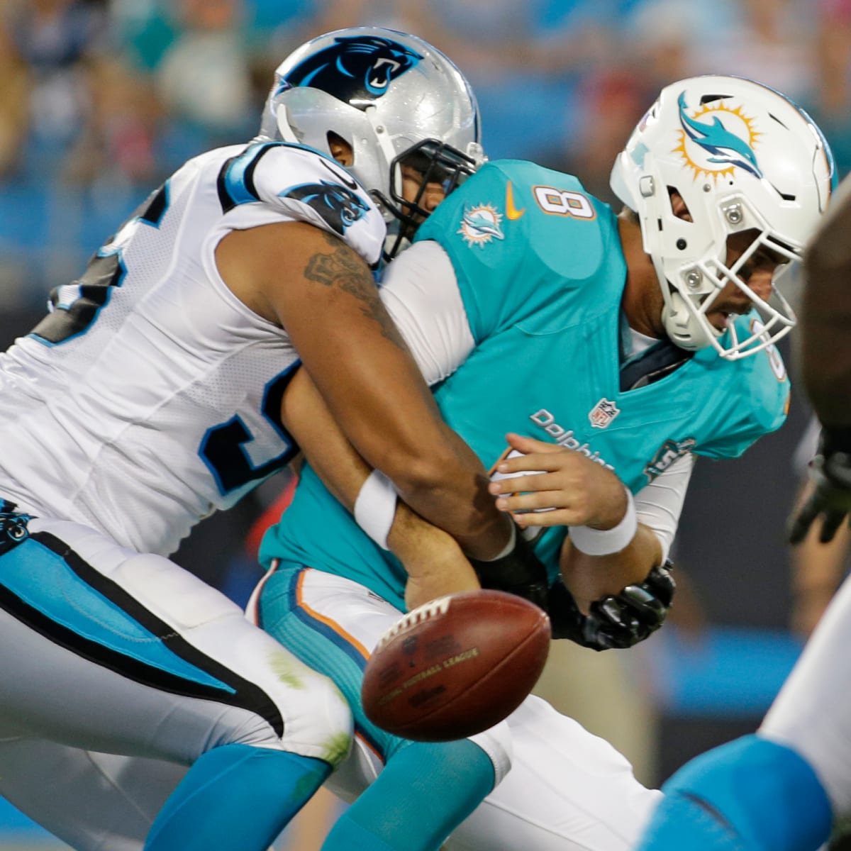 Tannehill, Williams shine in Dolphins' 31-30 loss to Panthers