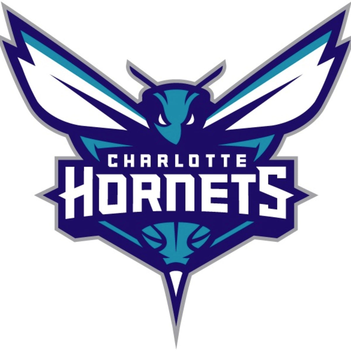 charlotte hornets / arena branding / fan shop