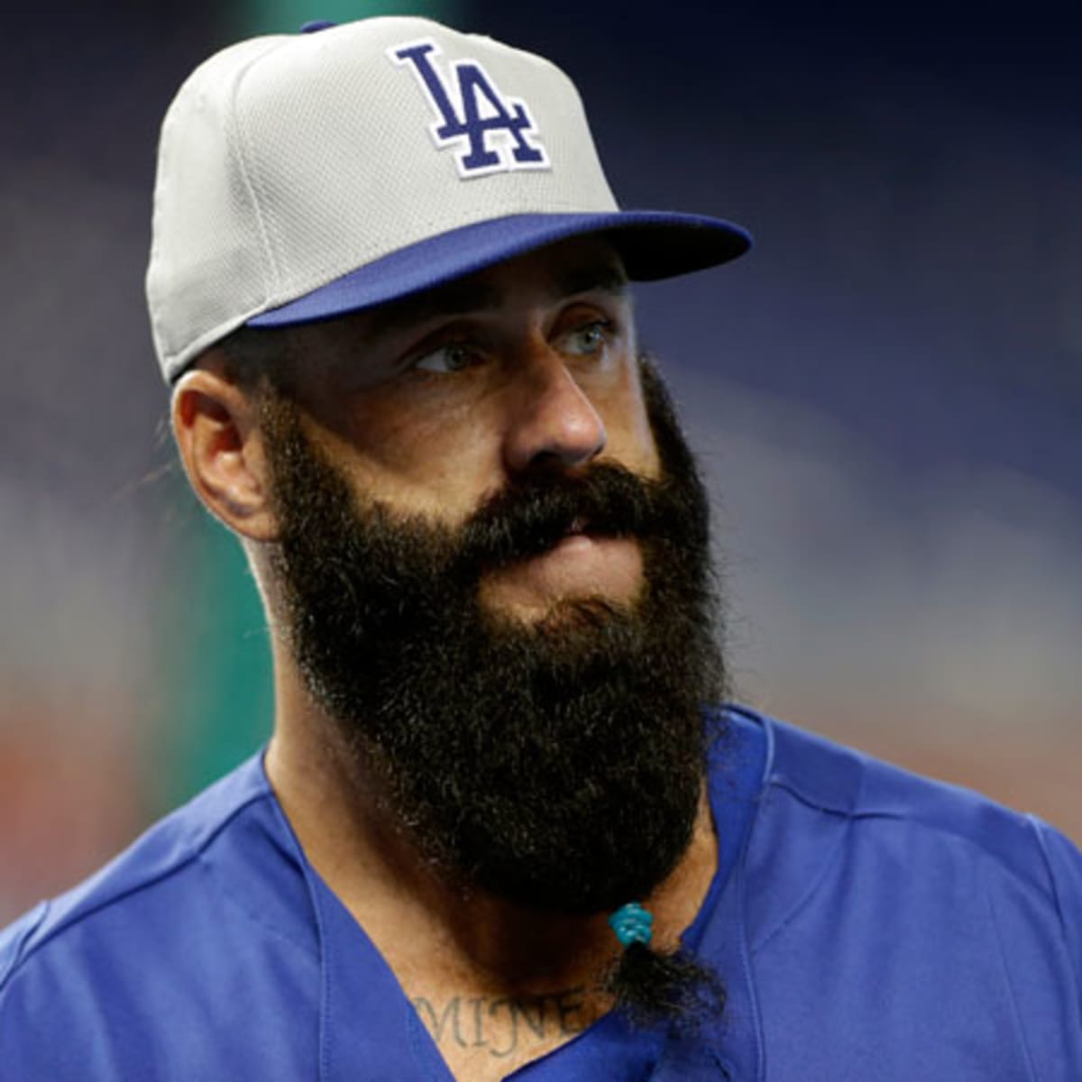 Brian Wilson and the best beards in sport - Mirror Online