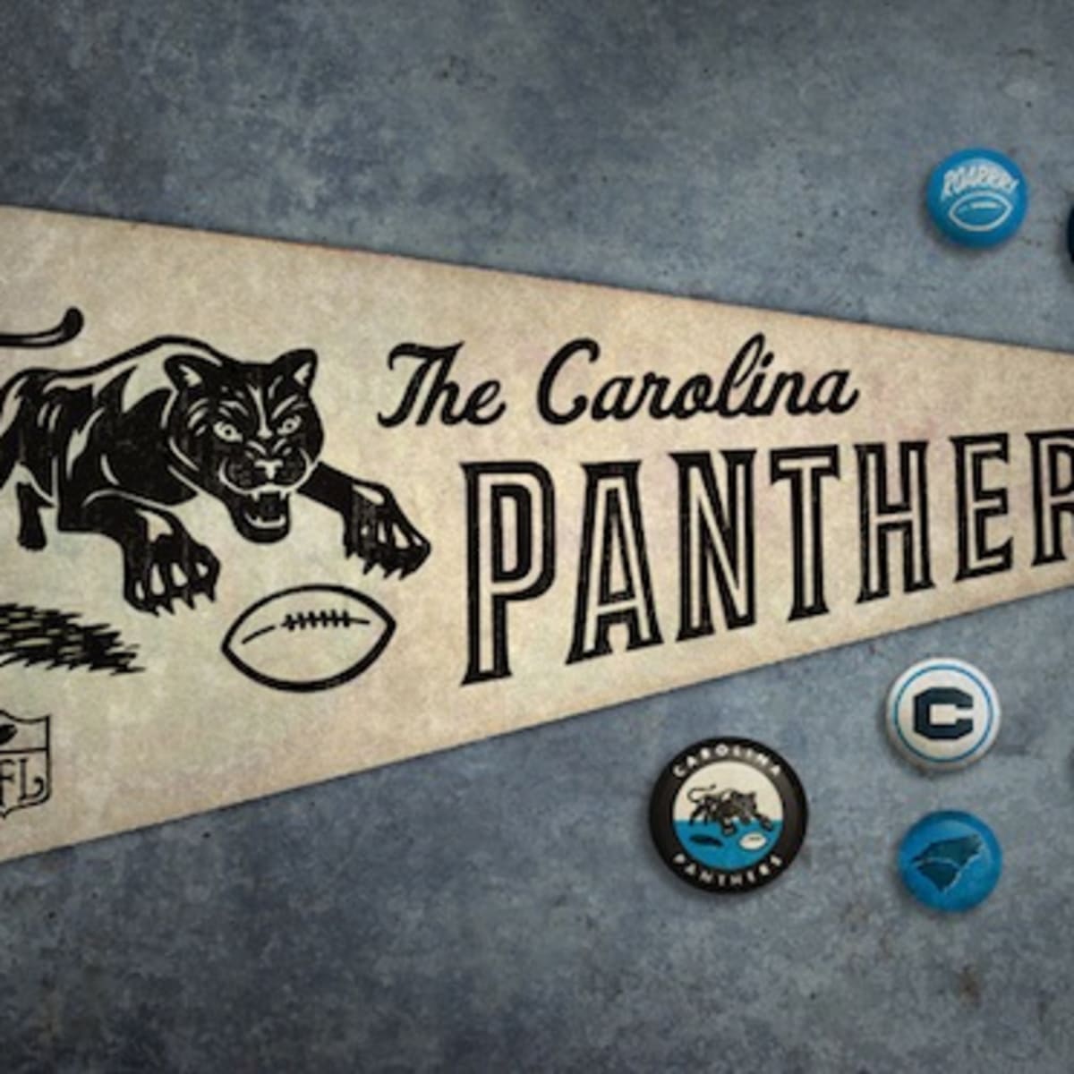 Understanding the Evolution of the Carolina Panthers Logo