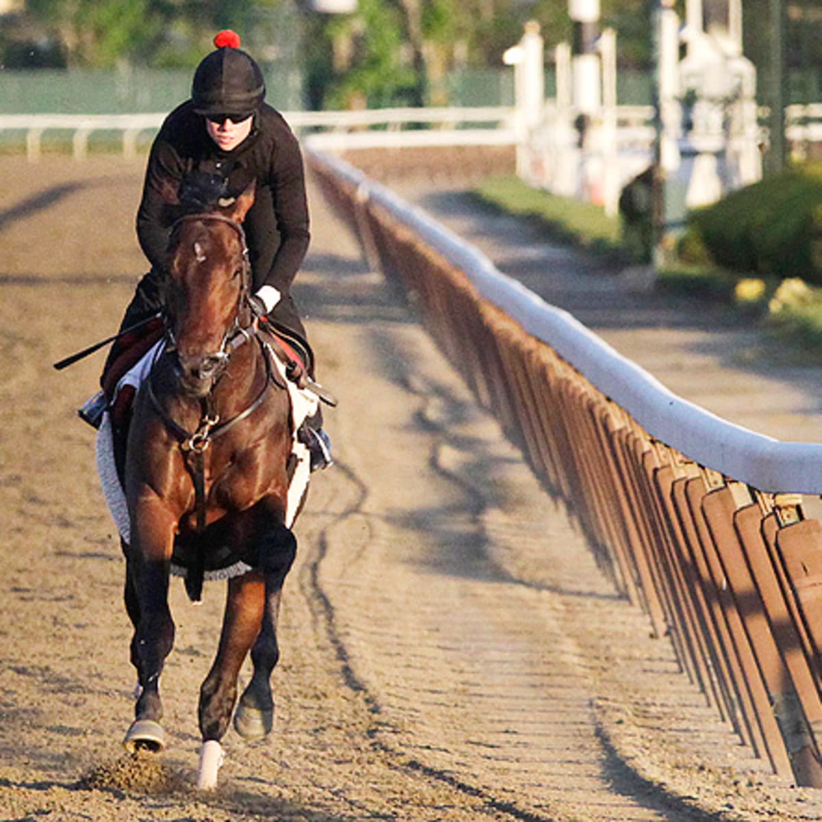 Marlins Man' owns horse running at Gulfstream Park