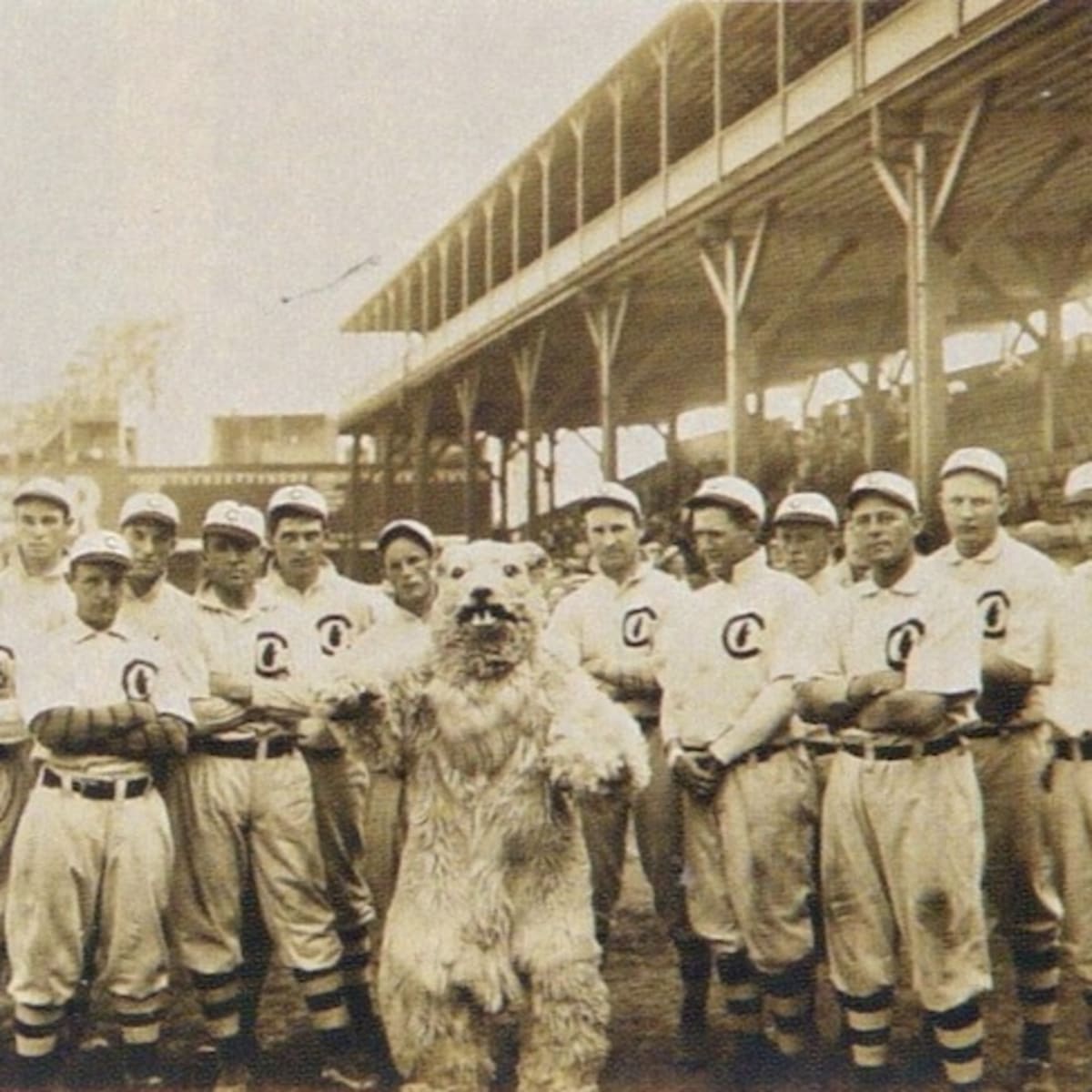 Forget Tradition: A Cubs Mascot is a Good Thing - Sports Illustrated