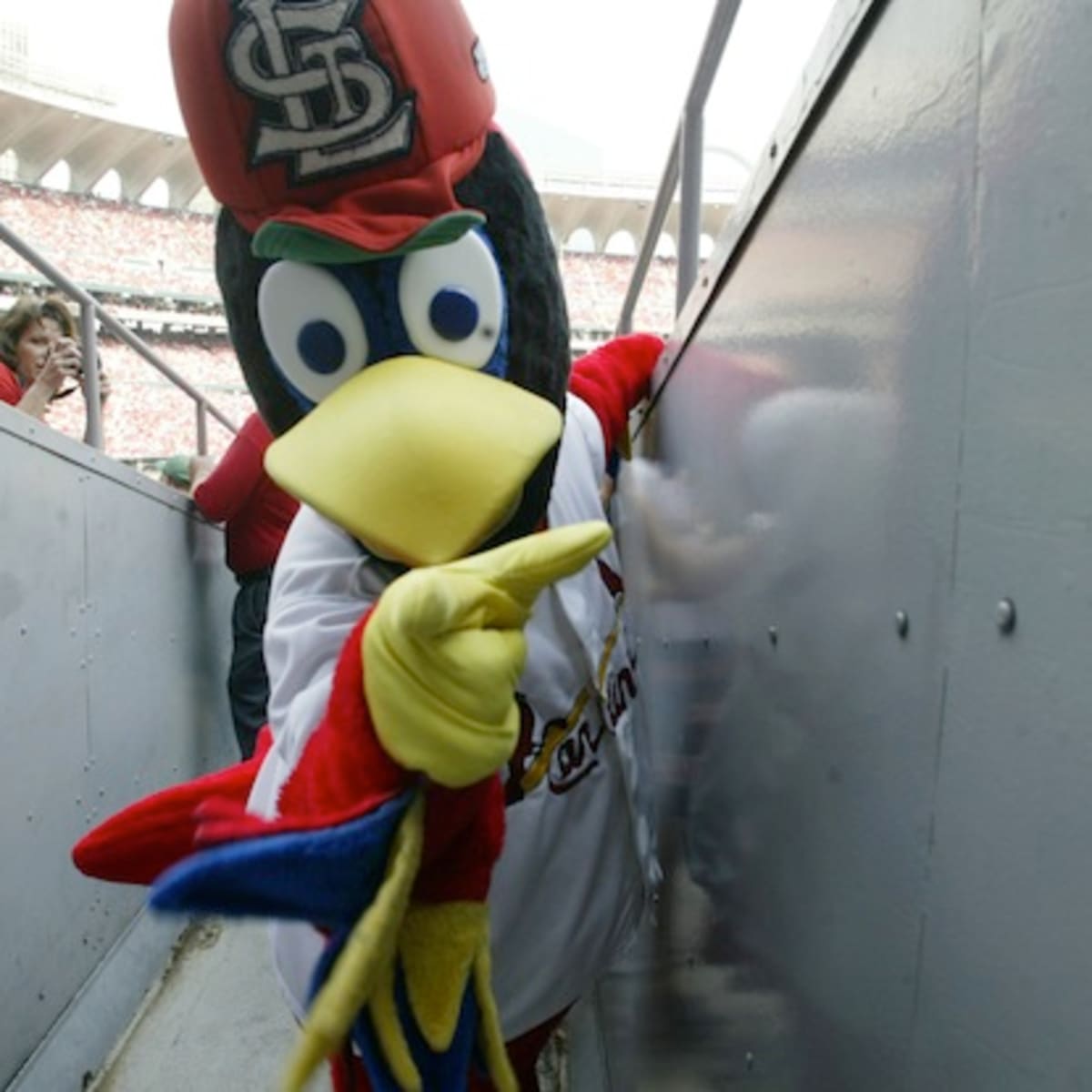 Boston fan attacks Tampa Bay mascot; Claims he didn't know mascots