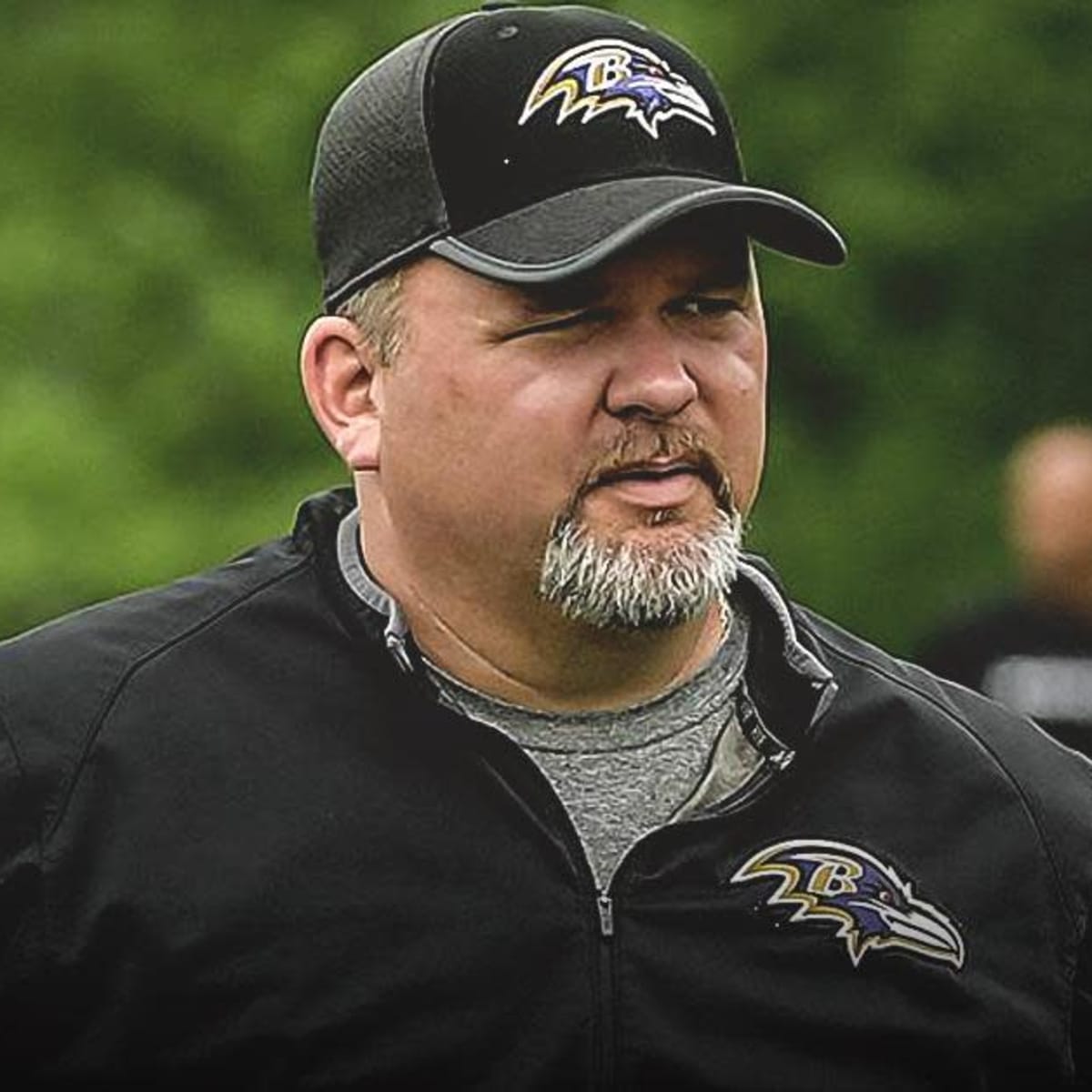 Greg Roman has been promoted to - Baltimore Ravens