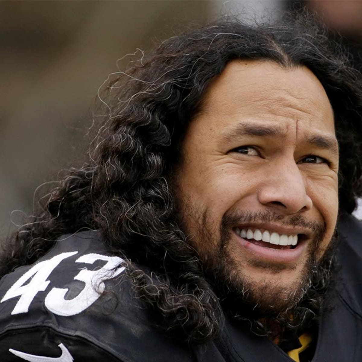 Troy Polamalu, Reggie Wayne lead 2020 Pro Football Hall of Fame