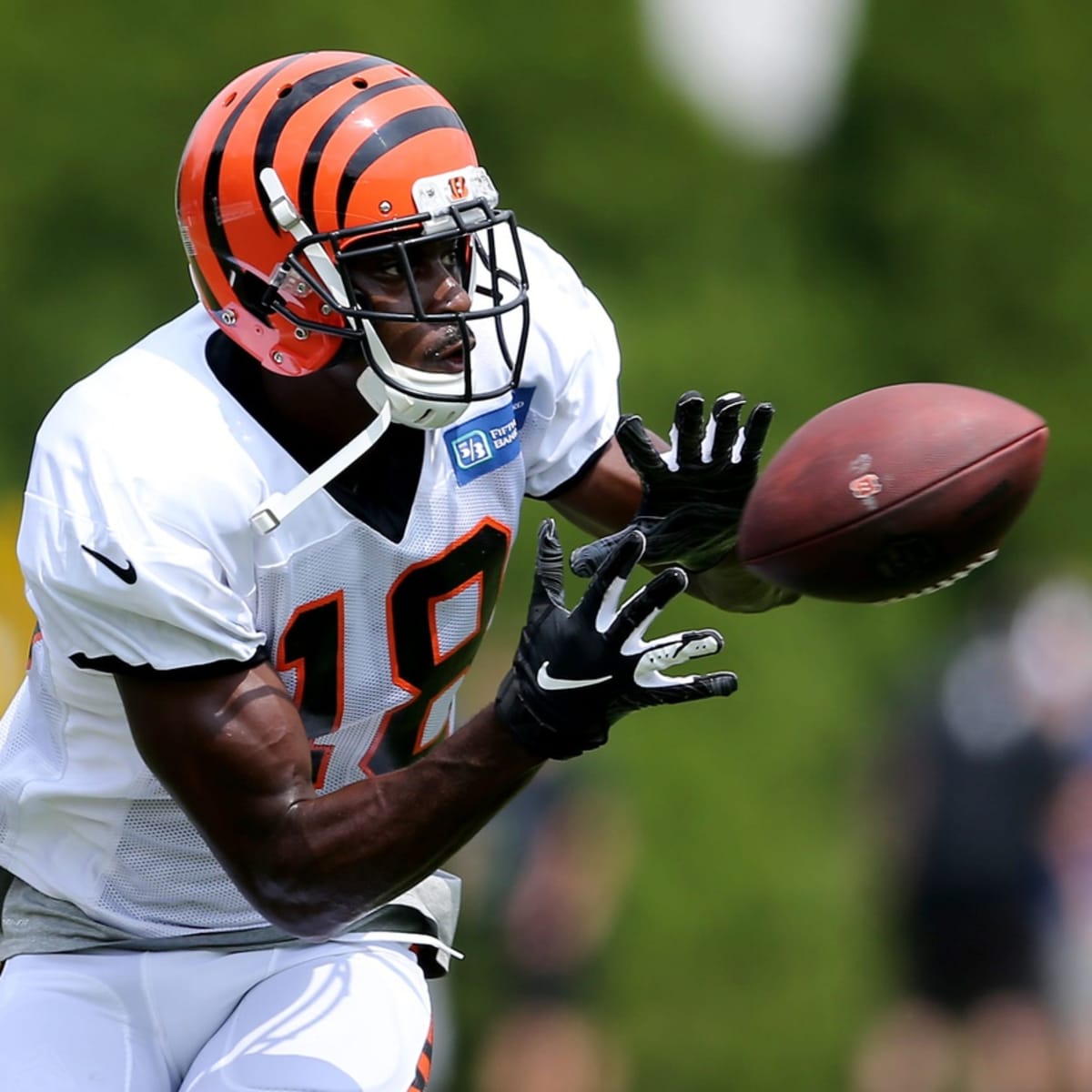 Don't Worry Cincinnati Bengals Fans, Trent Taylor Won't Wear A.J. Green's  Old Number - Sports Illustrated Cincinnati Bengals News, Analysis and More