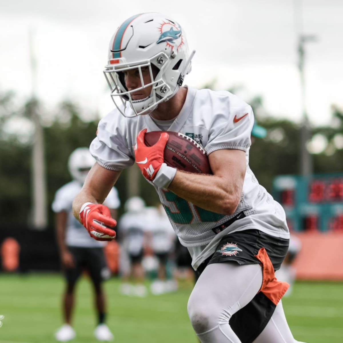 Breaking down each position of the Miami Dolphins' 53-man roster