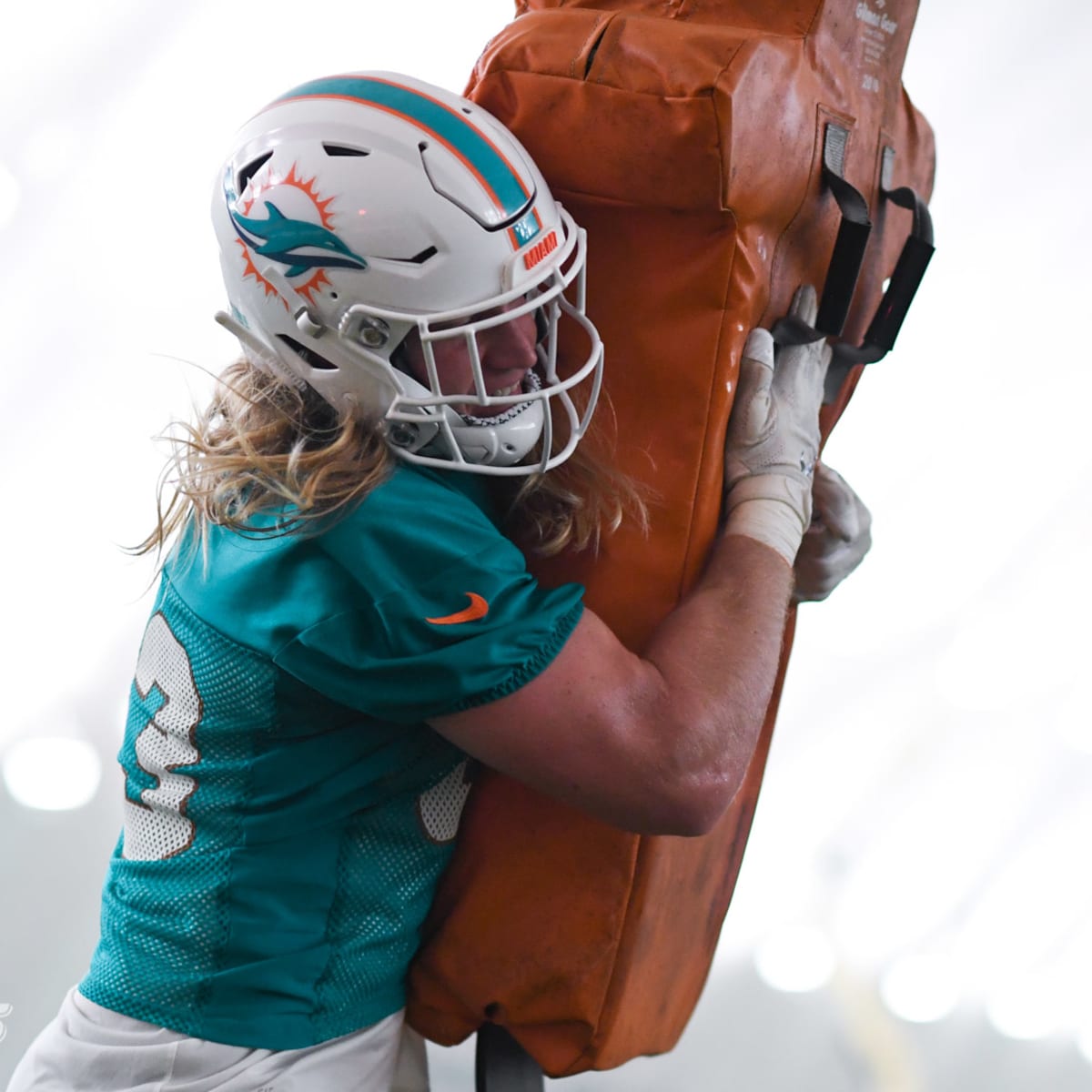 Miami Dolphins inside linebacker Andrew Van Ginkel (43) defends against the  New York Jets during an NFL football game, Sunday, Nov. 21, 2021, in East  Rutherford, N.J. (AP Photo/Adam Hunger Stock Photo - Alamy