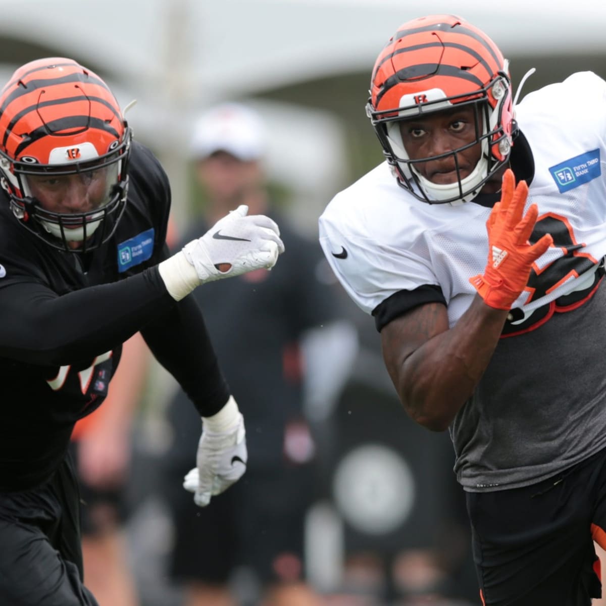 Cincinnati Bengals wide receiver Tee Higgins Draws Big Time Praise After  Busy Offseason - Sports Illustrated Cincinnati Bengals News, Analysis and  More