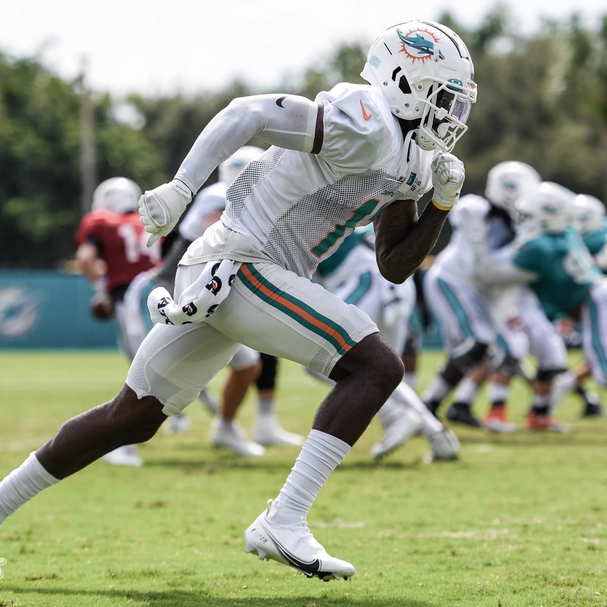 DeVante Parker Jerseys, DeVante Parker Shirts, Apparel, Gear