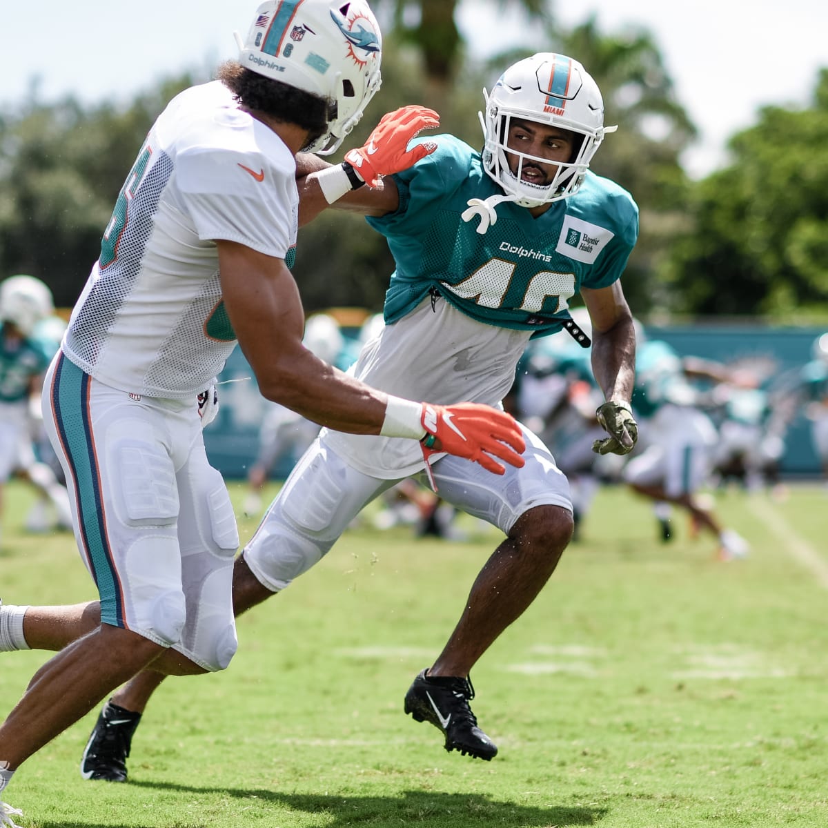 Needham Ready if Dolphins Need Him - Sports Illustrated Miami