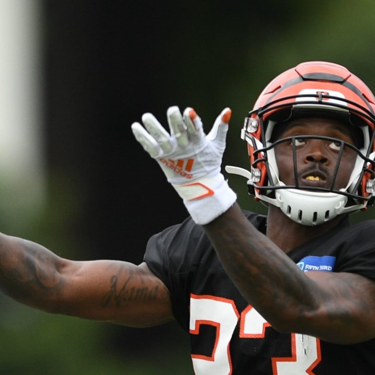 Cincinnati Bengals Release First Depth Chart of 2023 Regular Season -  Sports Illustrated Cincinnati Bengals News, Analysis and More