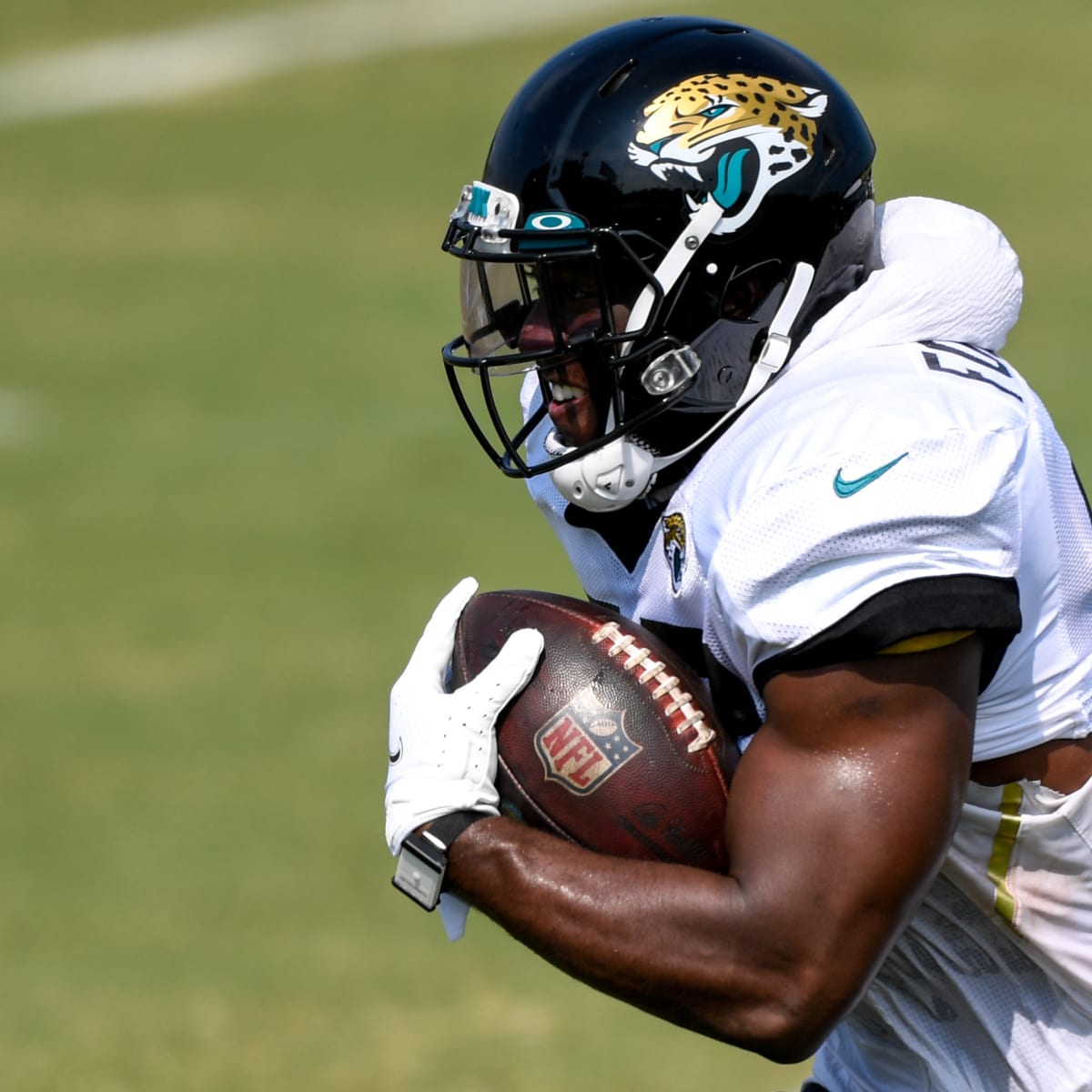 Chicago Bears are favorites to land Leonard Fournette – The Virginian-Pilot