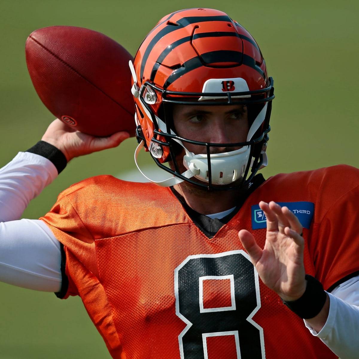 Brandon Allen brings a veteran presence to the Bengals quarterback room.