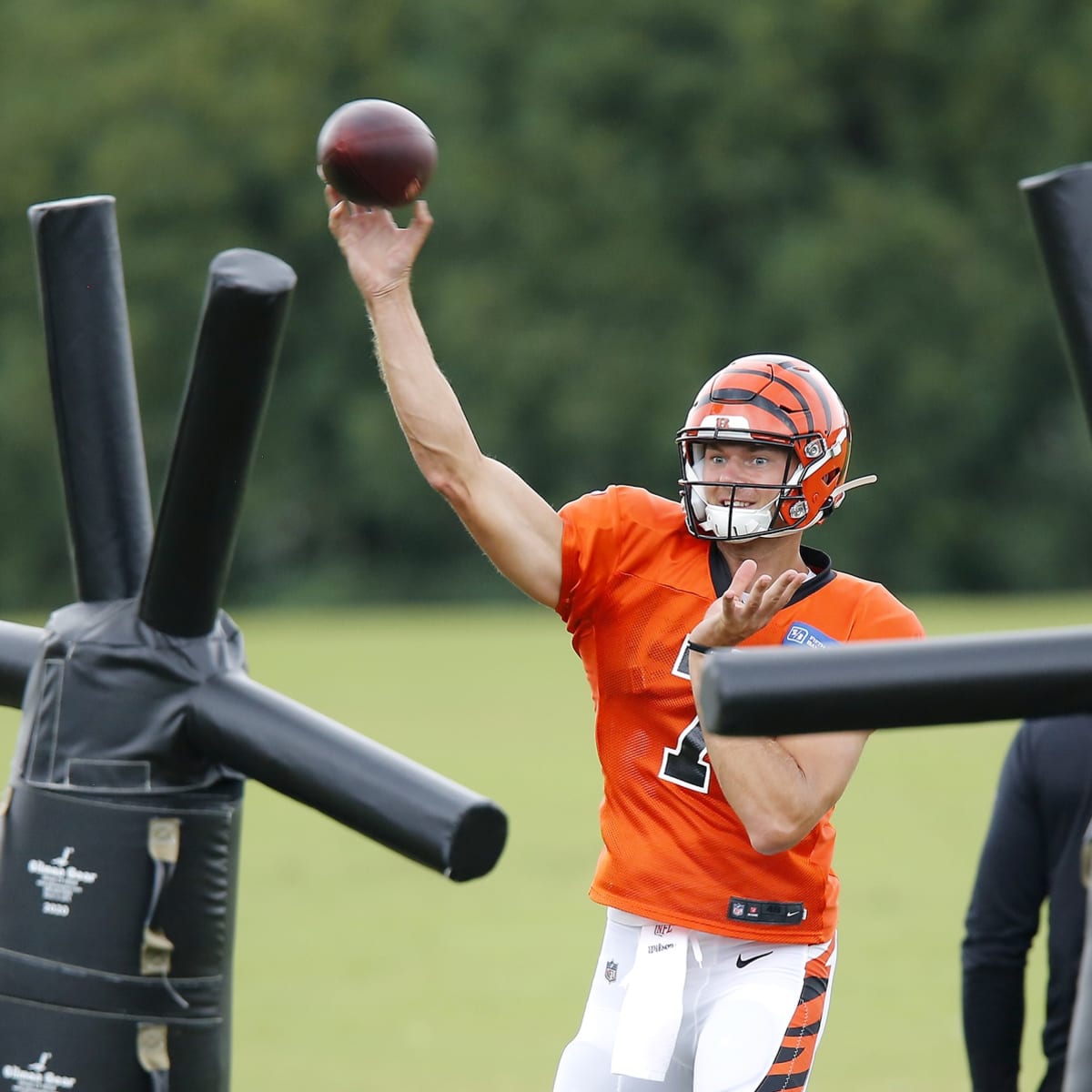 New England Patriots add massive quarterback Jake Dolegala to the practice  squad (report) 