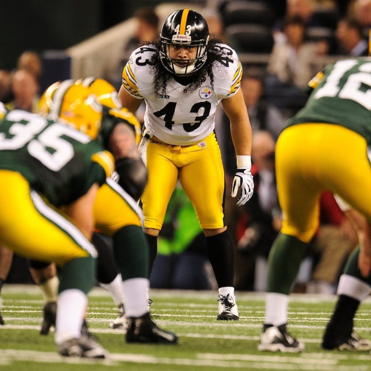 Steelers add Troy Polamalu, Dwight White, Greg Lloyd, James