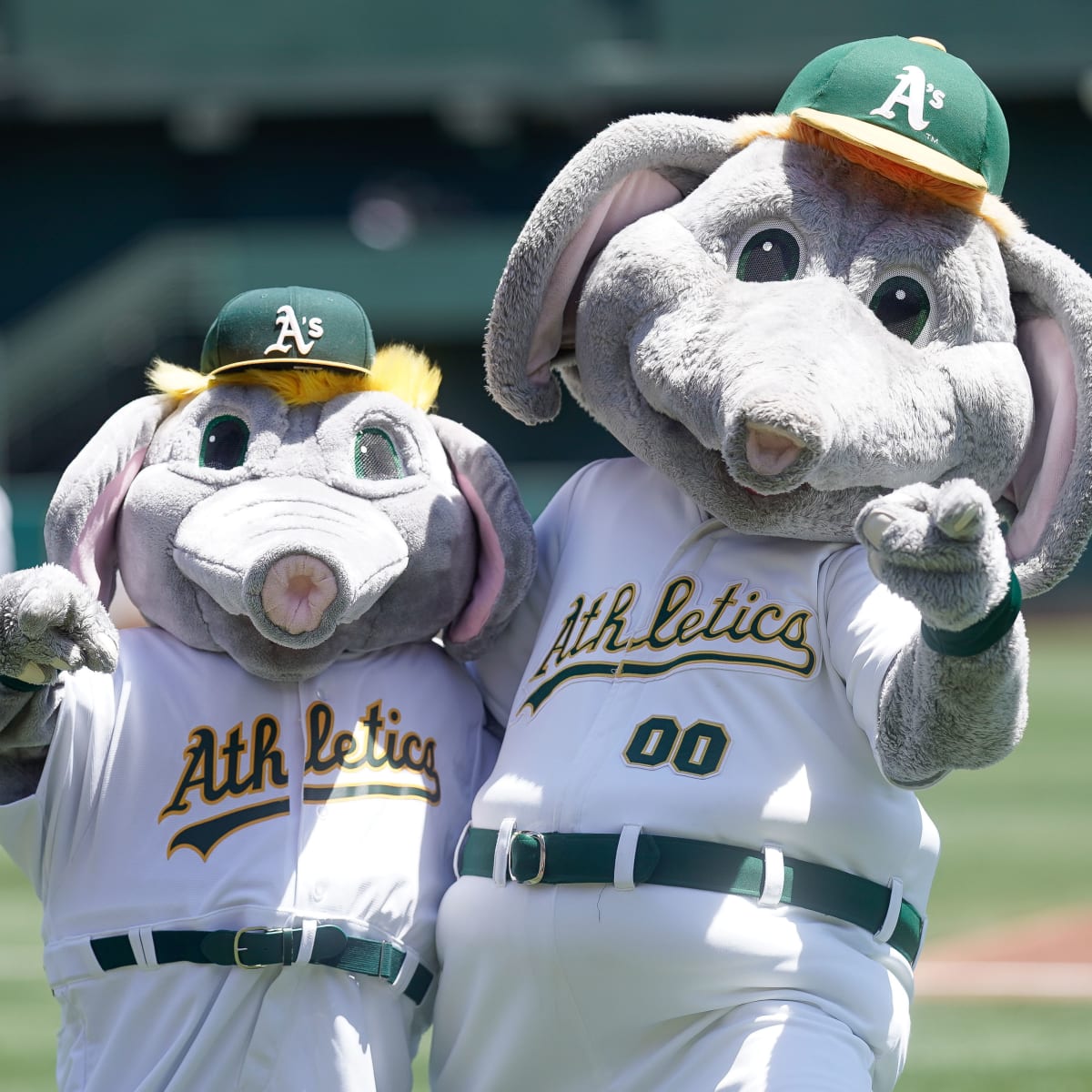 Know Your Enemy, Playoffs Edition: Oakland A's - InsideTheWhite Sox on  Sports Illustrated: News, Analysis, and More