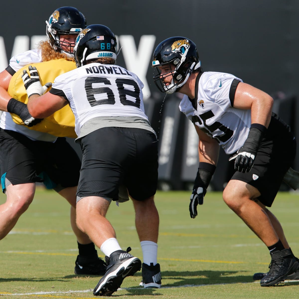 Jacksonville Jaguars: News, Scores, Stats, Headlines, Injury