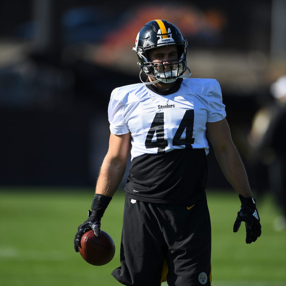 steelers 44 watt