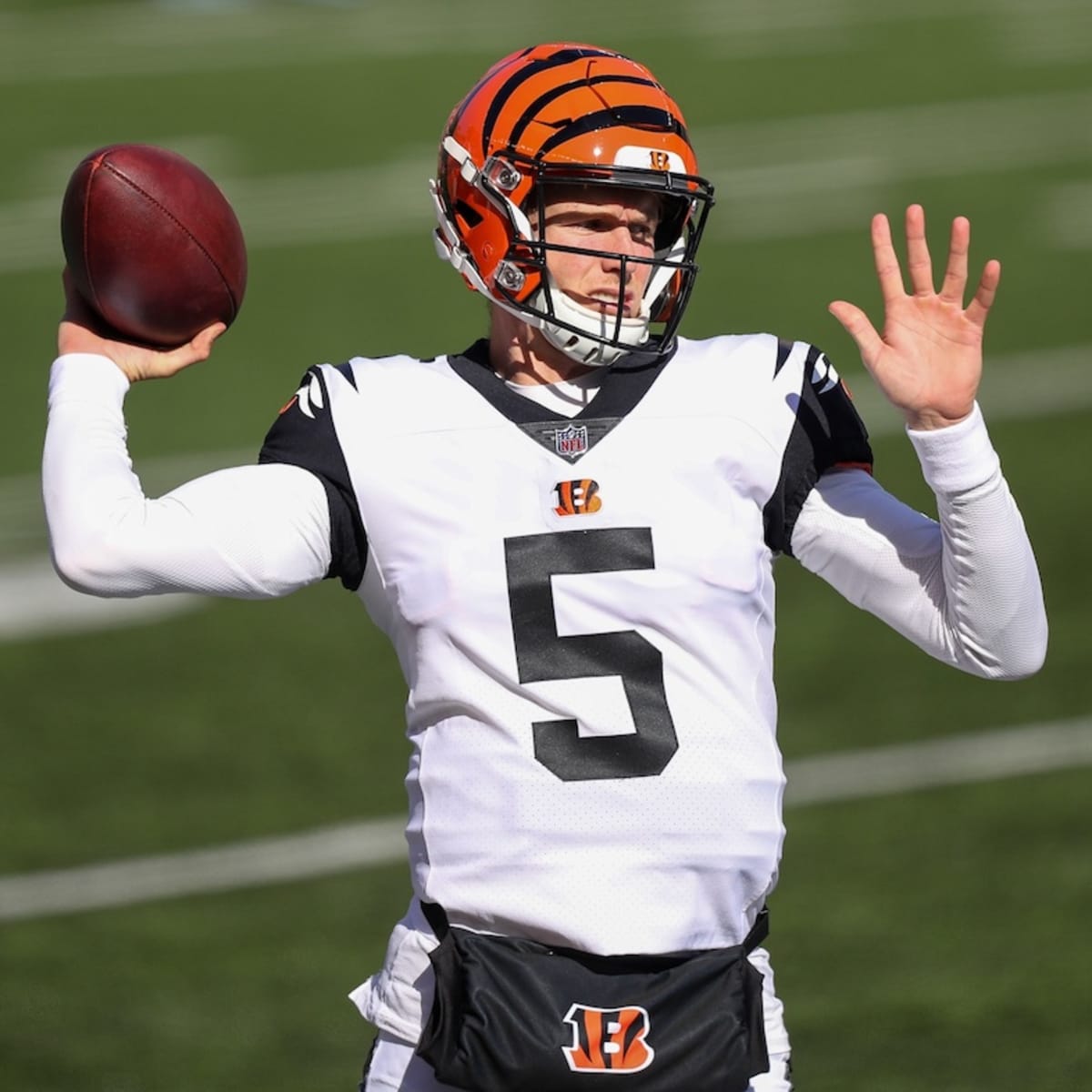 Bengals elevate QB Hogan to back up Finley against Steelers