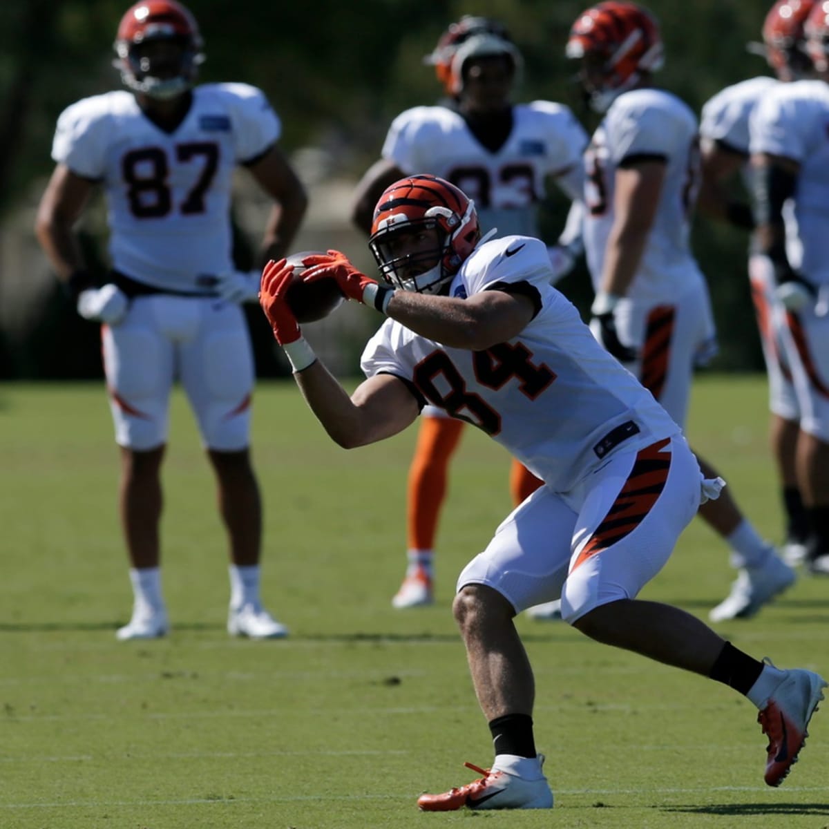 Bengals activate tight end Mitchell Wilcox off PUP list - A to Z Sports