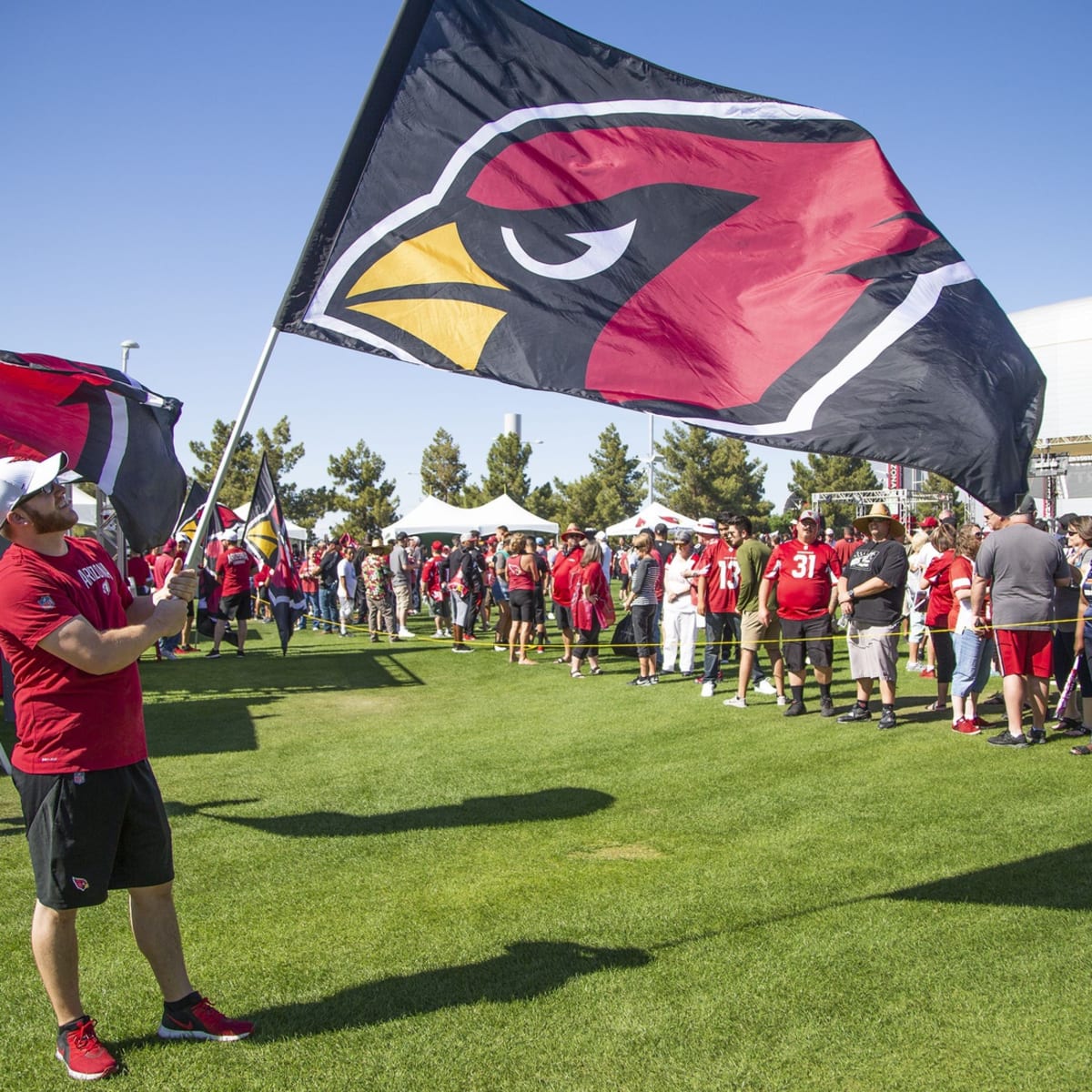 Arizona Cardinals Own Best Odds to Land No. 1 Pick - Sports Illustrated Arizona  Cardinals News, Analysis and More