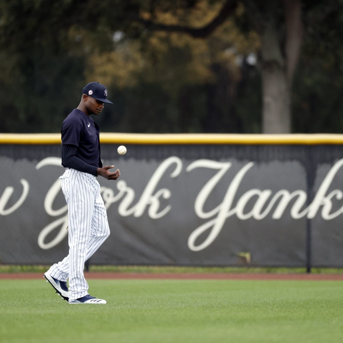 Yankees pitcher Domingo German suspended for domestic violence - ABC News