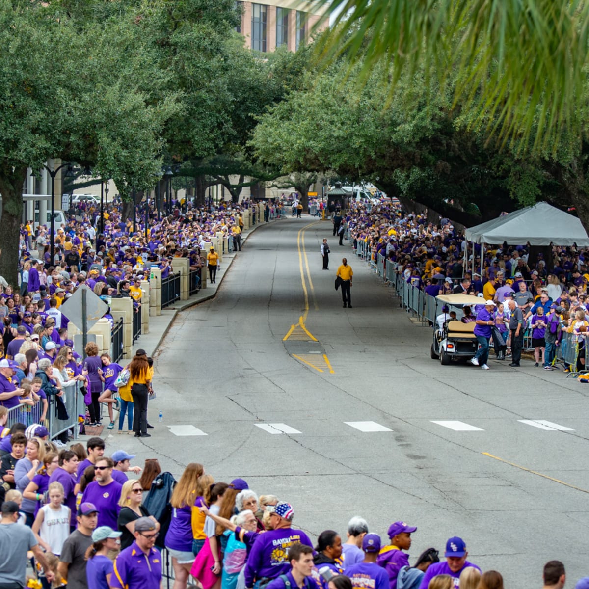 LSU title parade draws massive crowds