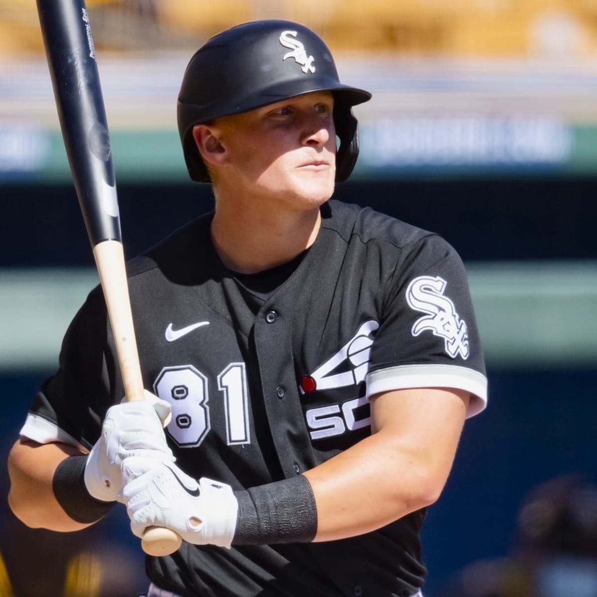 Cal Baseball: White Sox Giving Andrew Vaughn A Look at Left Field