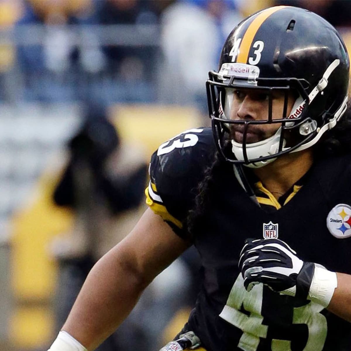 Troy Polamalu 2010 AP Defensive Player of the Year