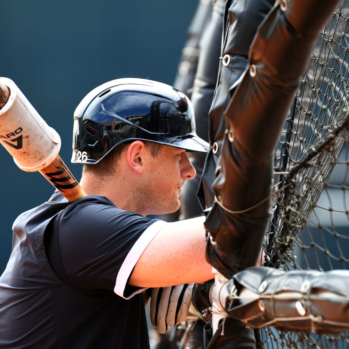 Rockies' DJ LeMahieu Has Another Hit on His Hands in Michigan